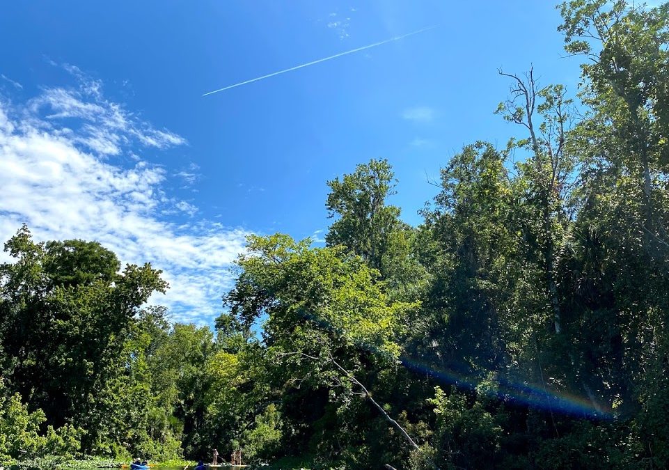 Wekiwa Springs State Park – Nature & beauty in a swamp
